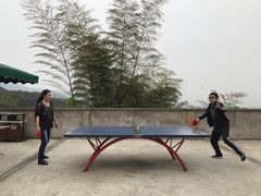 乒乓球台-重庆九凤瑶池海明山庄