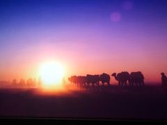 -敦煌莫高窟数字展示中心