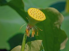 -丝绸小镇荻港古村