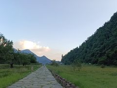 -大九湖