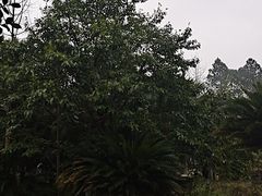 -故乡缘·香格里拉山庄(冷竹路店)