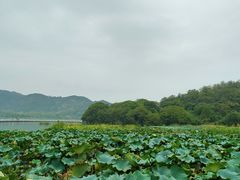 -东钱湖旅游度假区