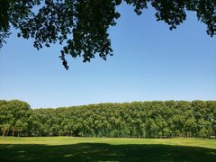 -河南省黄河迎宾馆