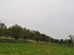 -汉长安城未央宫国家考古遗址公园