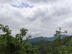 -木兰云雾山