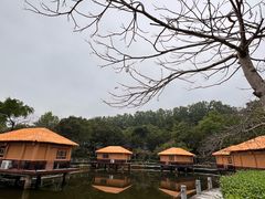 -罗浮山嘉宝田森林温泉度假酒店