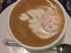 -猫色咖啡·猫咖