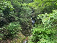 -牛背梁国家森林公园