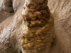 -波斯托伊纳溶洞