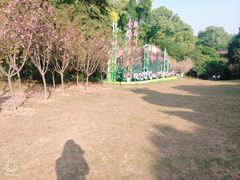 -南山植物园