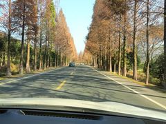 -派斯俊·本味(解放南路店)