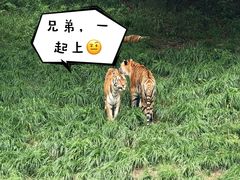-宁波野生动物园