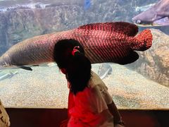 -太平洋海底世界