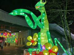 -沈阳奥体冰雪嘉年华