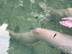 -三江森林温泉度假区