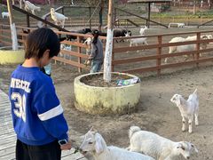 -盈香心动乐园