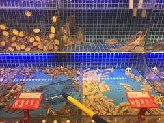 水产区-必点海鲜·鲅鱼水饺(鞍山西道店)