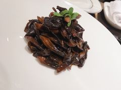 酱汁鸡枞菌-甄御•海鲜新青岛菜(麦岛店)