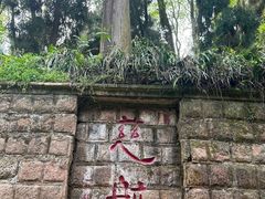 -青城山