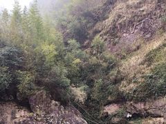 -宁波五龙潭景区