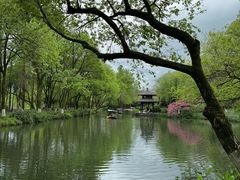 -杭州香格里拉·香宫中餐厅