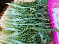 金丝菜-一煲鸽