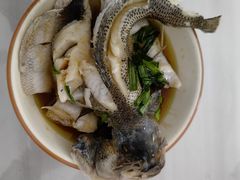 -田螺阿姨自营月嫂·育儿嫂(高新店)