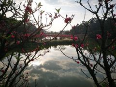 -南国桃园旅游度假区