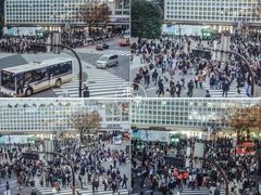 -涩谷区