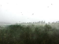 -海螺沟风景区