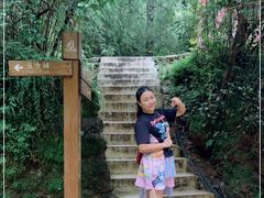 -武夷山风景名胜区-玉女峰