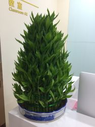 -亚太瑜伽普拉提学院