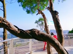 -景山公园