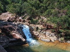 -广州白江湖森林公园