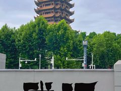 -黄鹤楼公园(黄鹤楼)