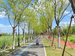 -永定河休闲森林公园