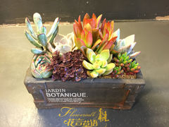 -花言草语鲜花店(灵山路店)