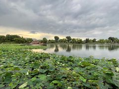 -西海子公园