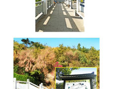 -平湖九龙山旅游度假区