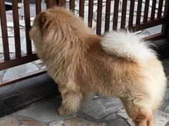 -看见远方·莫干遥远的山民宿