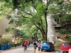-武汉大学-樱园