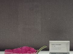 -景德镇中国陶瓷博物馆