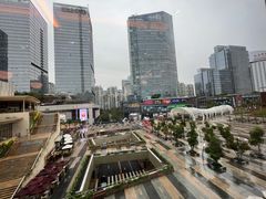 -润园四季椰子鸡火锅(南山海岸城店)