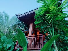 -西双版纳洲际度假酒店兰吧