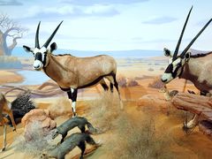 -陕西自然博物馆