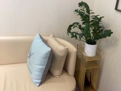-智美品质医美