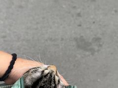 -爱侣宠医·鹦鹉专科·小型哺乳类·异宠专科(灵石路店)