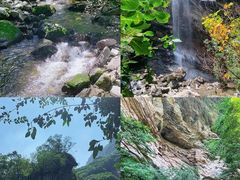 -少华山国家森林公园