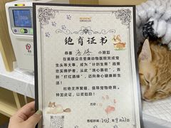 -美联众合爱康动物医院•复杂内科•肿瘤科•牙科•腔镜诊疗中心