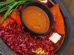 -黄潇洒老火锅(九眼桥宏济巷店)